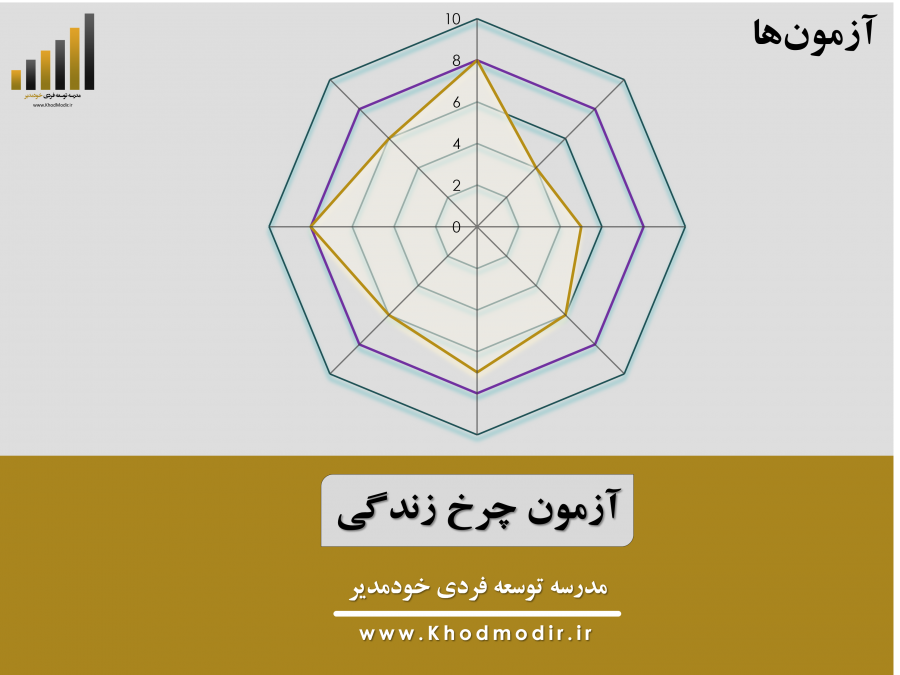 آزمون توازن چرخ زندگی